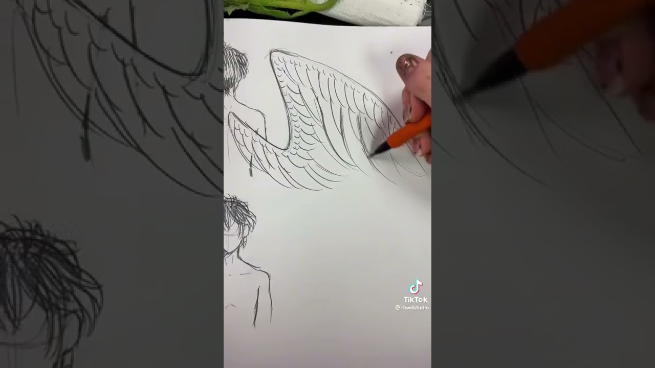 Tut on how to draw wings
