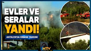 Antalya'da Alevler Yerleşim Yerlerine İndi! Üç Mahalle Ve Hayvan Barın