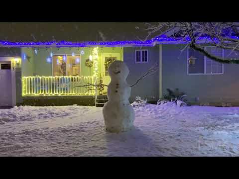 12-21-2020 Lynden, WA - Windmill in the Snow; First Day of Winter Snowstorm; Snow Globe Scenes