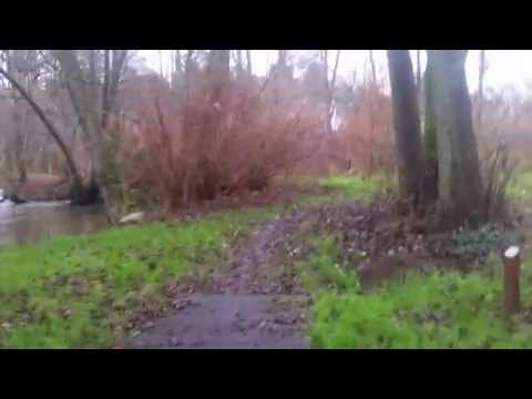 Samouzdrawianie 13. Szczęście czy nieszczęście