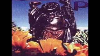 Wasting Time Demo - Blink 182 Budhha Promo 1992 RARE