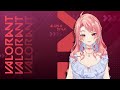 【Valorant】mabar have fun - bronsilgold yuk!【#AlunaLive】