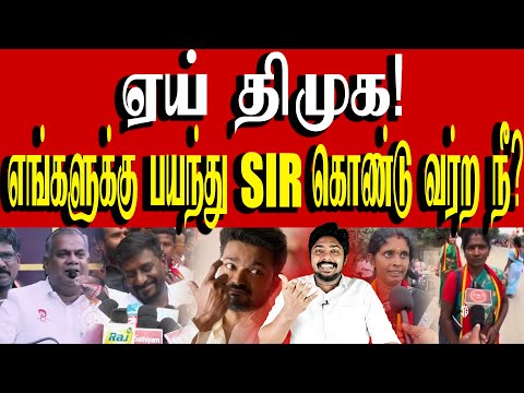 SIR result எப்போ வரும்? - தவெக தற்குறி! | TVK Vijay | Kural | Nishwin Fero