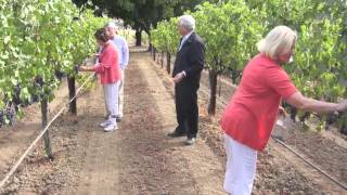 Tony Salameh- Salameh Group Carmel, CA