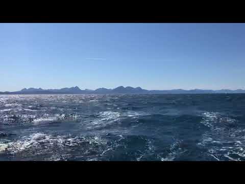 Sailing Shelikof Strait on a perfect Alaskan day