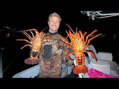 Catalina Island Lobster Diving! (Cioppino Catch and Cook)