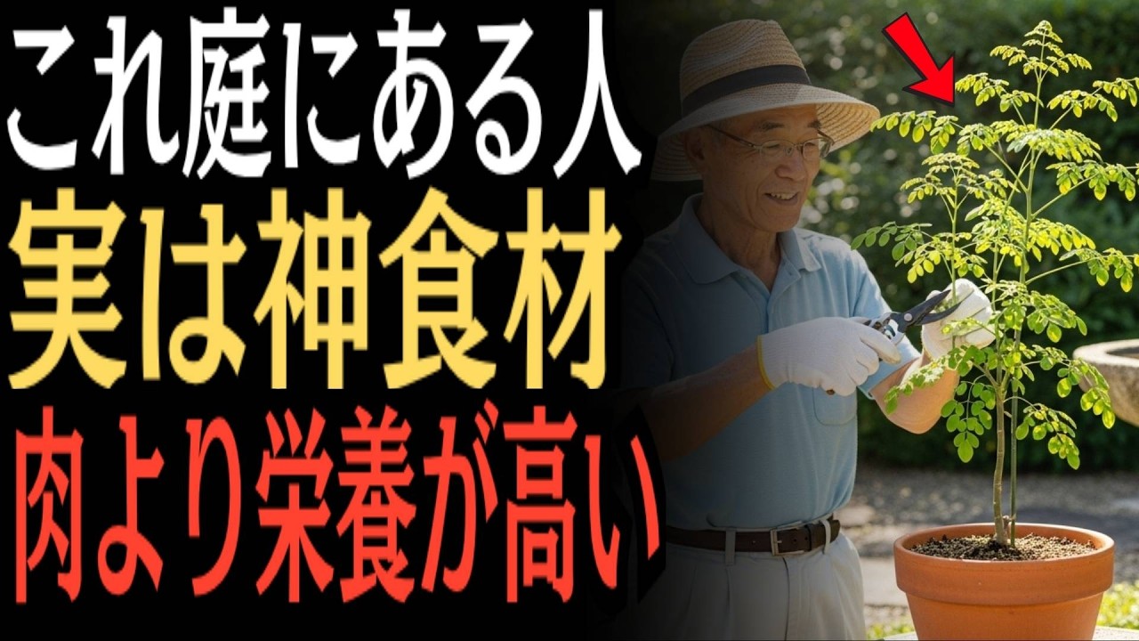 【99％が知らない】雑草より強く肉より栄養豊富…それでも誰も育てない“奇跡の植物”の真実