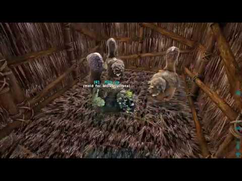 Ark Primitive Plus episode 7