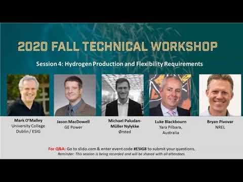 2020 Fall Workshop Session 4: Hydrogen Production and Flexibility Requirements