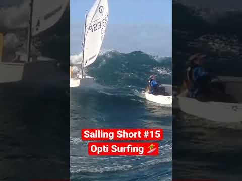 Opti Kids Surfing Waves 🌊 #shorts