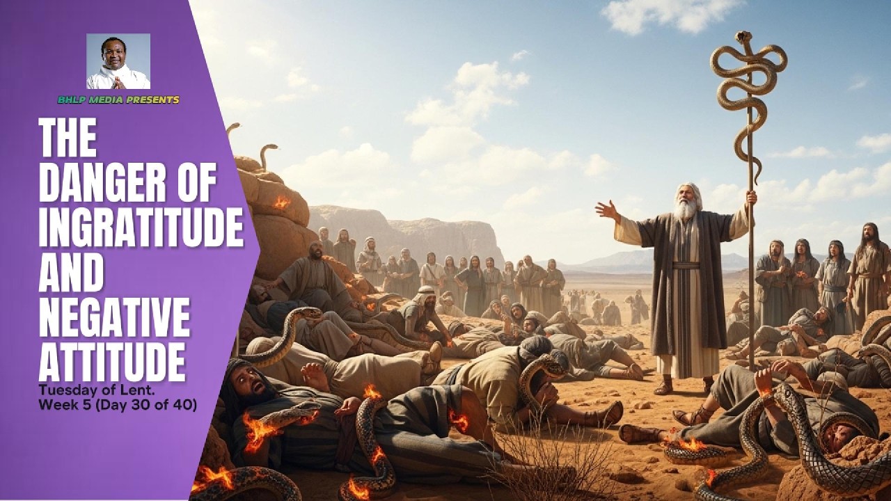 TODAY'S REFLECTION thumbnail