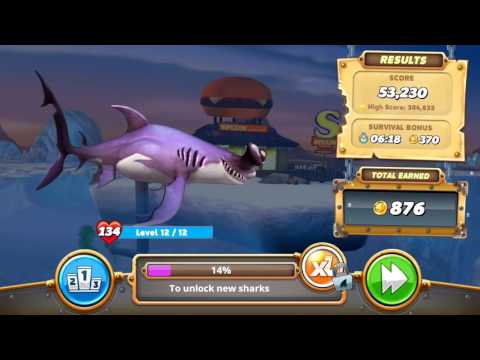 Smooth Hammerhead Level 12/12 - Live Event - Hungry Shark World