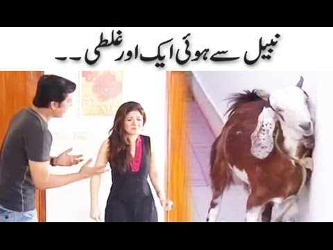 Nabeel Se Hui Ek Aur Ghalti - Khoobsurat | Bulbulay