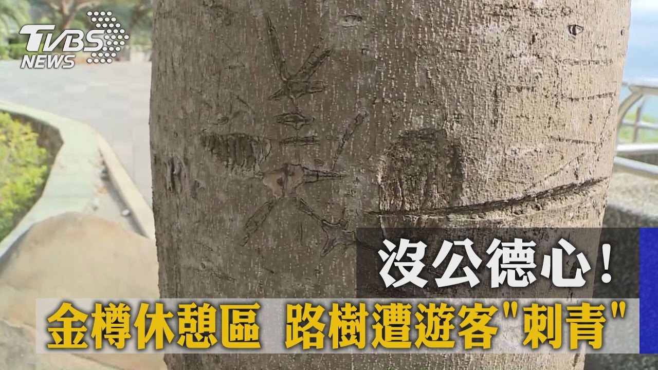 沒公德心！金樽休憩區路樹　遭遊客「刺青」