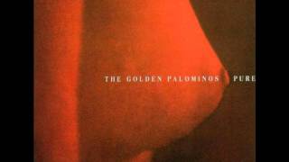 Golden Palominos - Little Suicides