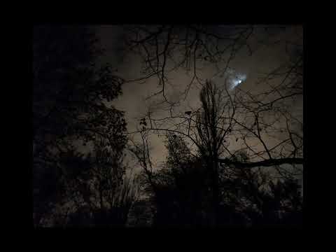 TAMINO - INDIGO NIGHT (special version) 1 HOUR LOOP