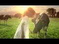 Frisian Flag Commercial Little Girl