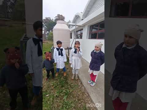 Agua de lluvia es recomendable para regar las plantas.Escuela 60 Montecoral Florida.