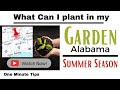 One Minute Tips - Garden - Alabama -What can I Plant in my Garden for Summer Season!