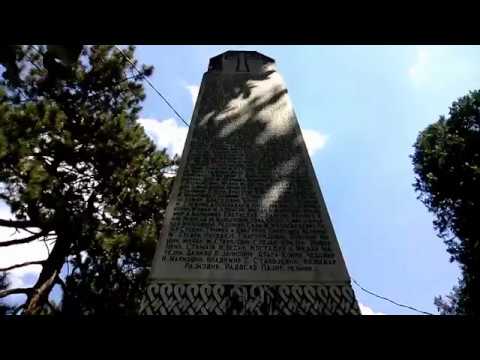 Војислав Илић - Млађи -- ВОЈНИЧКО ПИСМО