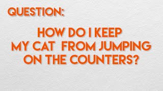 How Do I Keep My Cat From Jumping on the Counters?