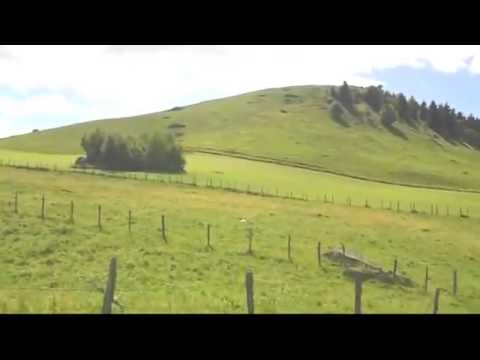 Pensiune Busteni - Cazat.ro