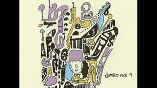 Damien Rice - Accidental Babies