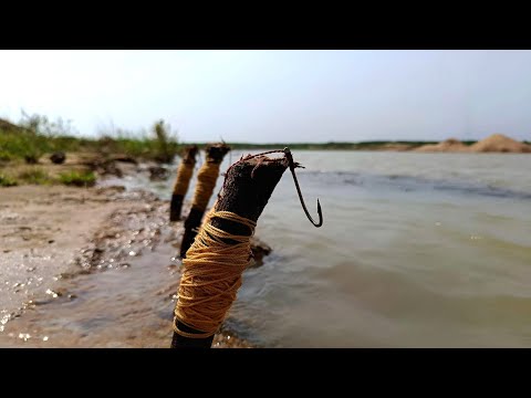 What the ... is this Piranha 😱 | River fishing | Grandpa Unique Fishing