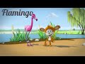 Kids Videos L Monkey See Monkey Do L Flamingo L Cartoon L