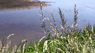 Natural World - Visit Norfolk, England