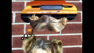 Mclaren Mindset  - Lyric Video