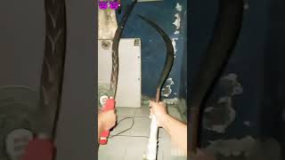 Download lagu LAGI VIRAL DI TIK TOK ORANG PEGANG CEWE X GUA MEGANG CLURIT √ mp3 Download lagu LAGI VIRAL DI TIK TOK ORANG PEGANG CEWE X GUA MEGANG CLURIT √ mp3