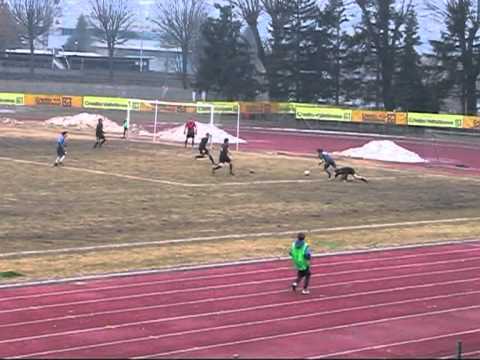 Sondrio Calcio - Scanzorosciate 19/02/2012