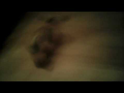 Картинка кус кер