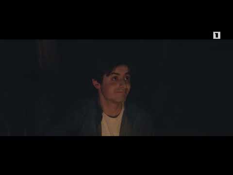 For You, Armenia: Viktor Hambartsumian