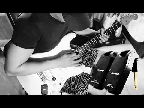 Пример использования радиосистемы Kokko FW1D