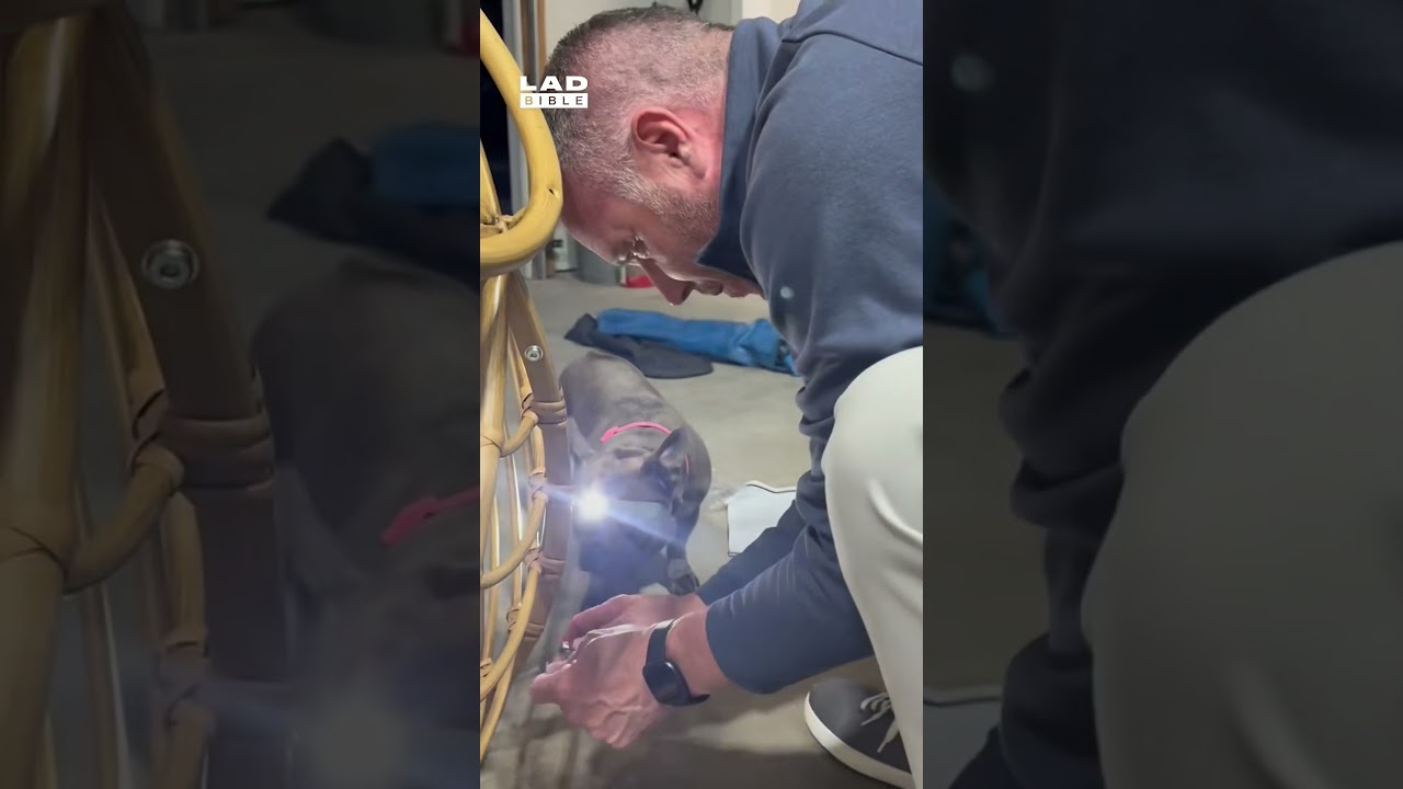 The new apprentice is doing a great job 🤣👏 (🎥: ViralHog)