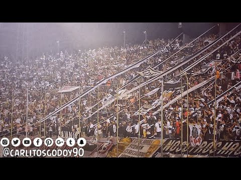 "Canta La Hinchada | Olimpia vs Liga de Quito | Libertadores 2019" Barra: La Barra 79 &bull; Club: Olimpia