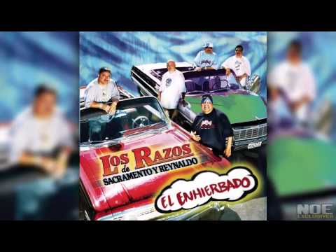 download lagu mp3 mp4 Los Razos La Resbalosa, download lagu Los Razos La Resbalosa gratis, unduh video klip Los Razos La Resbalosa