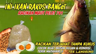 Download lagu UMPAN IKAN MAS PELET 781‼️RACIKAN UMPAN TERJITU MANCING IKAN MAS HARIAN mp3