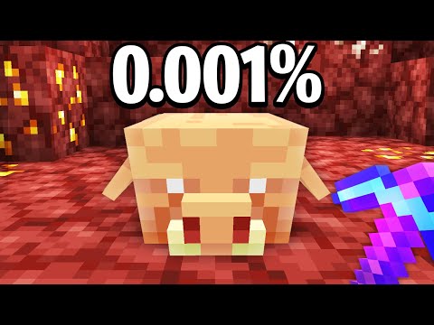 I Found Minecraft's RAREST Items in 24 Hours!