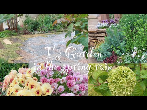 美しい雨の庭を作るためにどの植物を選ぶべきか 初心者のためのヒント