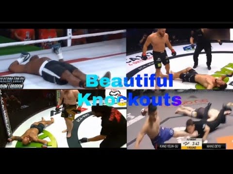 Most Savage Knockouts In MMA History (part1)
