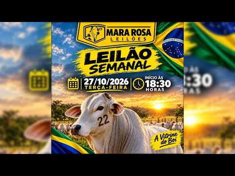 MARA ROSA LEILÕES - GOIÁS - LEILÃO DE GADO DE CORTE 27/10/2026