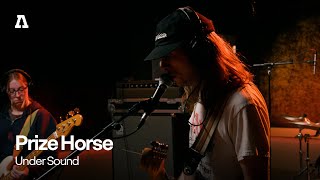 Prize Horse - Under Sound | Audiotree Live 5