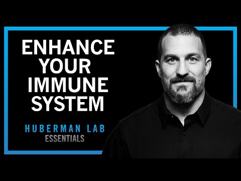 @hubermanlab - "Using Your Nervous System to Enhance Your Immune System | Huberman Lab Essentials"