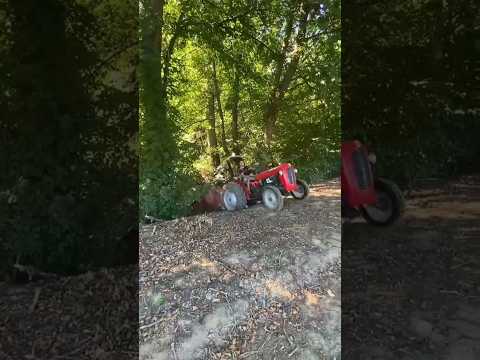 IMT traktor stroj 💪 #tractor #imt #automobile #shortvideo