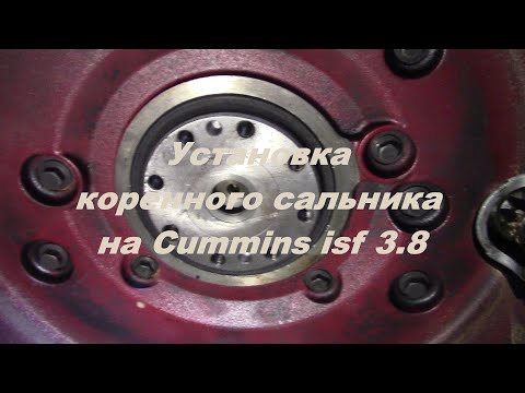 Installing a main oil seal on a Cummins isf 3.8 | Installing a Cummins oil seal | Installing Cumm...