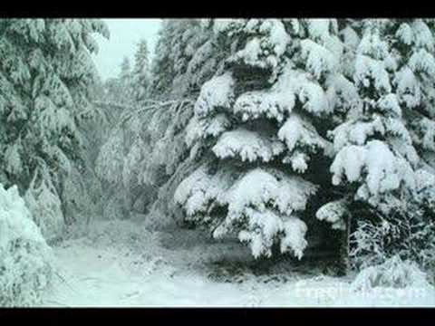 NulltaK’s Video 113404612796 pN2ZJBh92SM