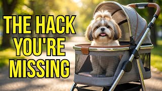 6 Shih Tzu Care Tips Most Owners Discover Too Late (Vet-Sourced)